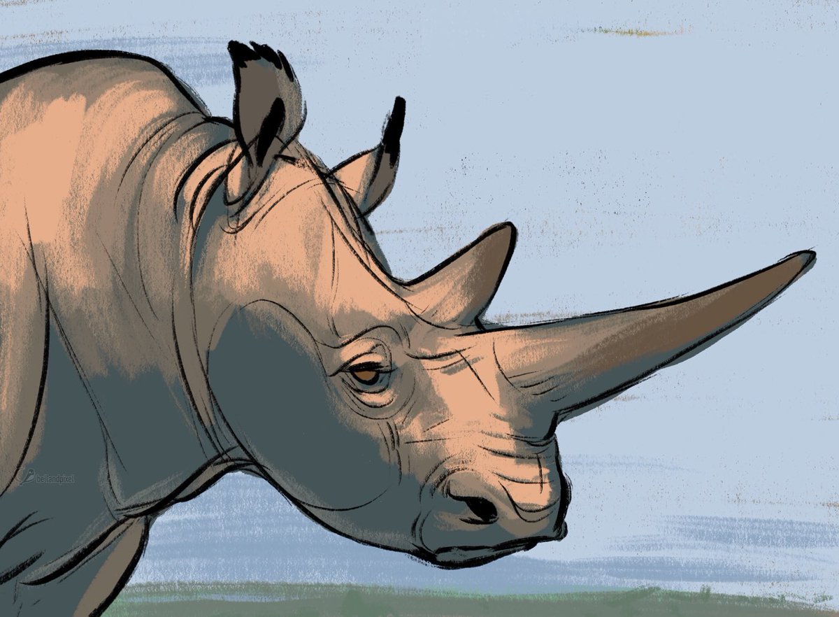 Charlotte Belland tweet media