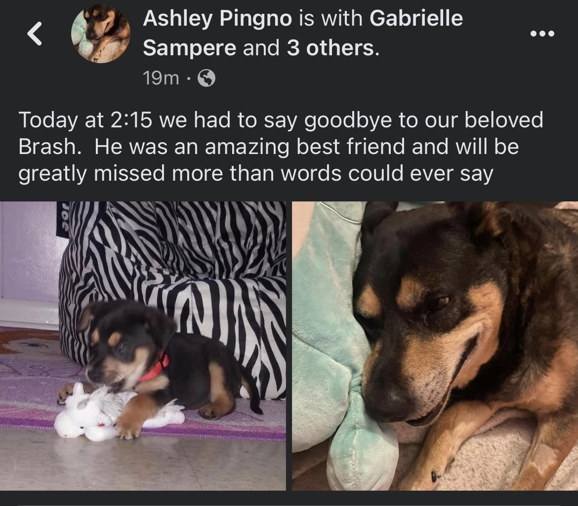 Robert Pingno (@rpingno) on Twitter photo 