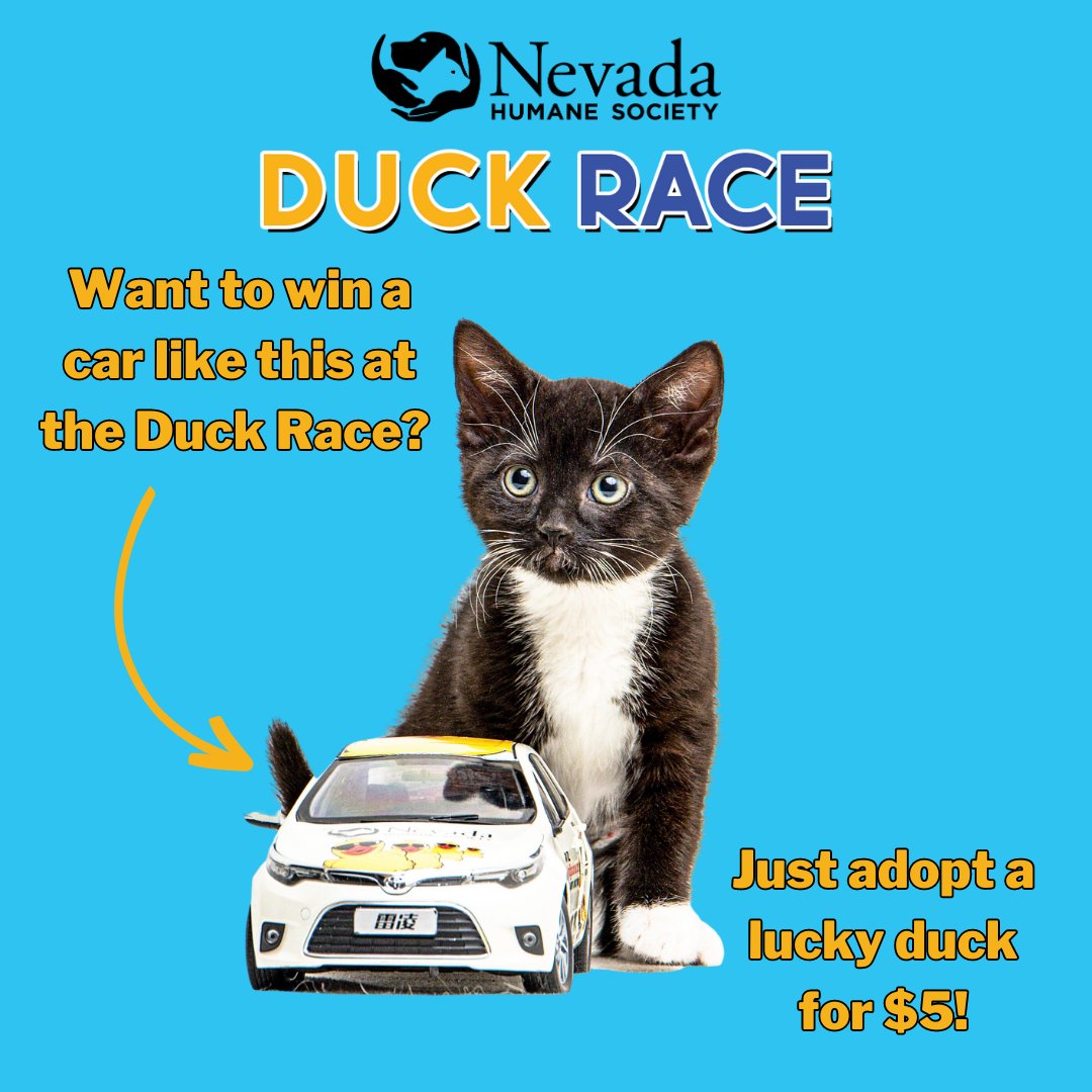 Nevada Humane Society tweet media
