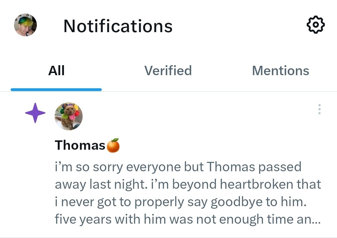 DrLith Here, There & Everyfuckingwhere tweet media