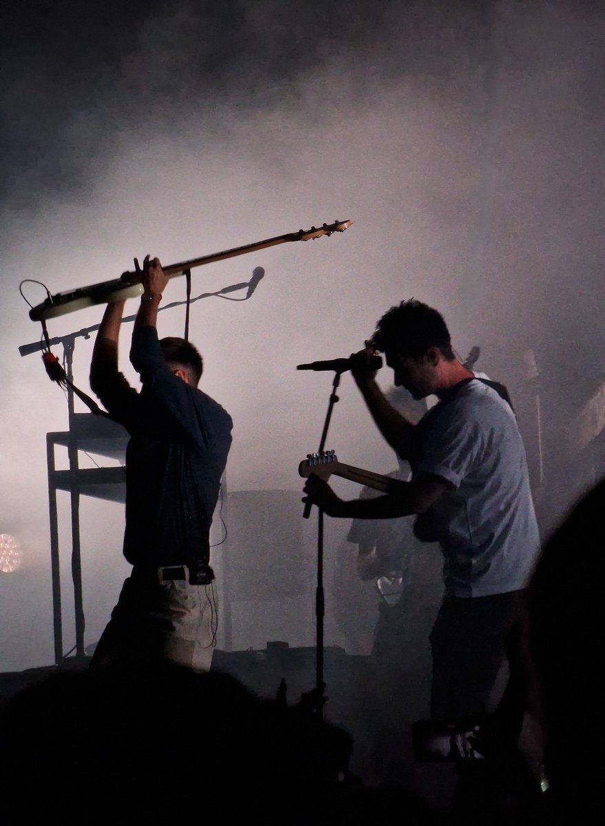 rat, like the rodent 🐀 tweet media