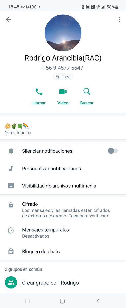 Dragón Leguleyo tweet media