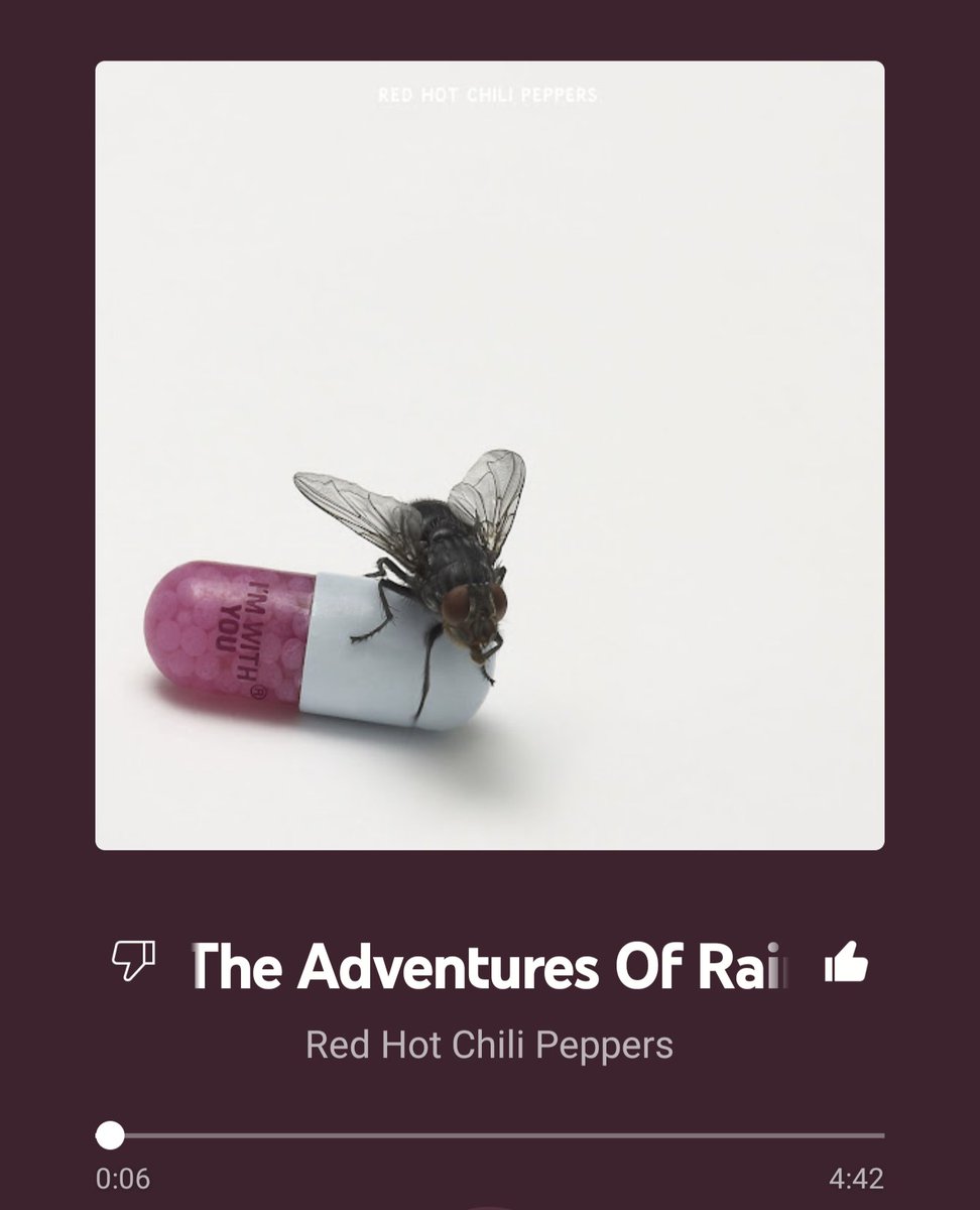 Regepun3516's tweet photo. #今日の音楽 #Nowplaying
Red Hot Chili Peppers
The Adventures of Rain Dance Maggie

初めてレッチリを生で見た時、
この曲を演奏してた🎸🌈

ジョンが居るレッチリも好きだが、
ジョシュが居たときのレッチリも好き☺️🎸

ジョシュのお陰で、
新しく新鮮な挑戦を沢山聴くことができたと思う☺️🎸❤️ https://t.co/M4cfrf9ygG