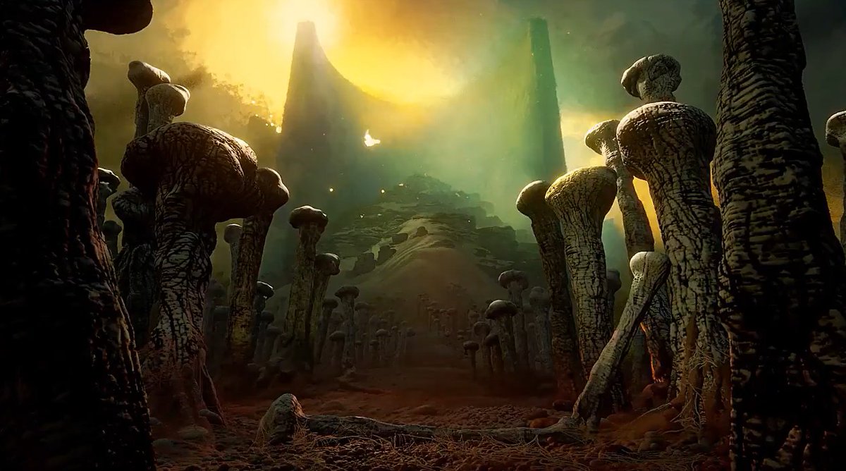 Lyall McCarthy 🇪🇺 tweet media