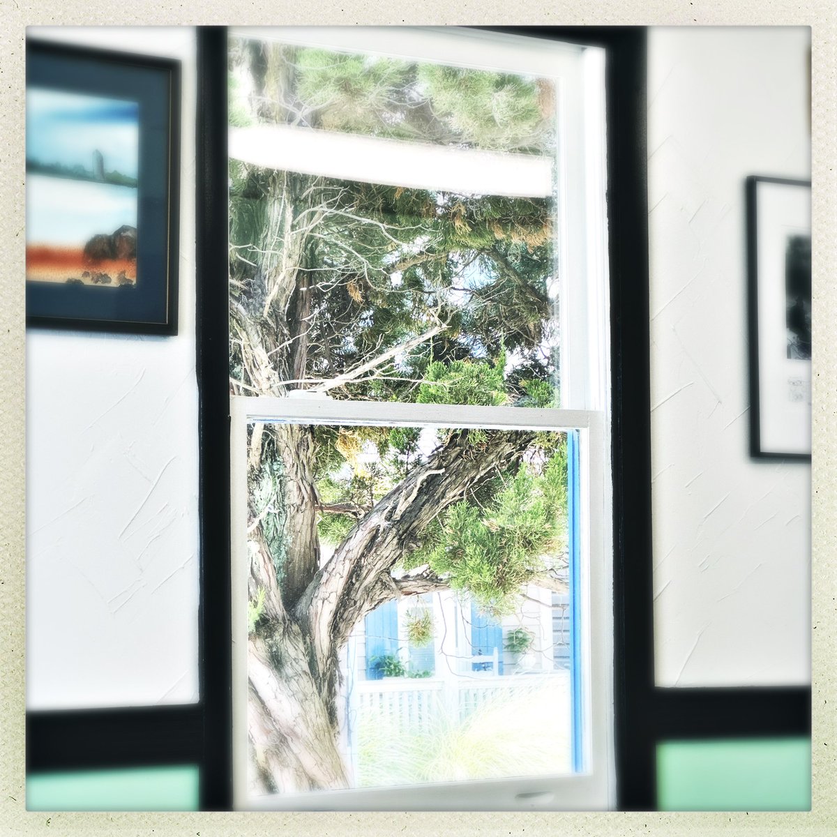 Mellens's tweet photo. Through a window
#hipstamatic #iPhone14ProMax #iPhonephotography https://t.co/36JwEAXovs