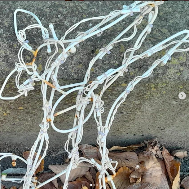 readingrevival's tweet photo. wired animals of fitzroy
.
.
.
#wired #wire #wildanimal #wildanimals #fitzroy #melbourne #photography #wireart #propped #hardrubbish https://t.co/8PIseIvbSa
