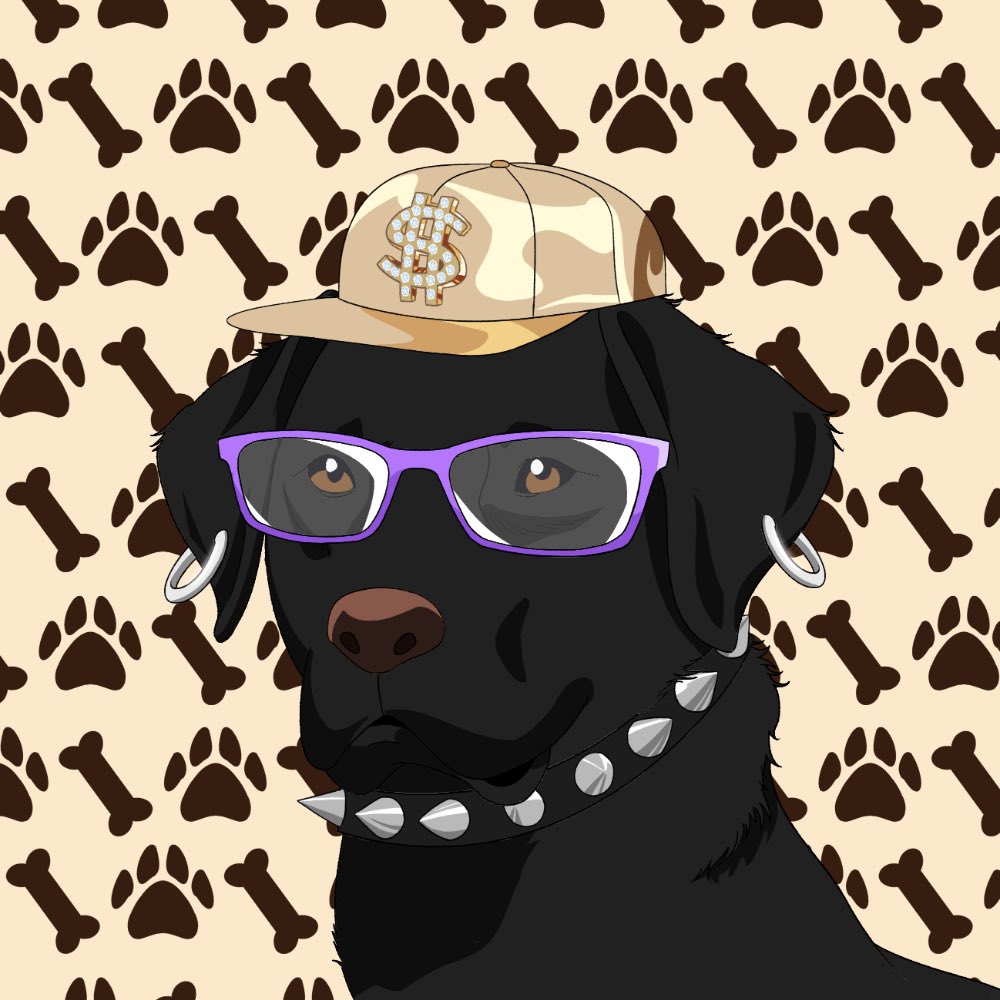 lulgjuraj8's tweet photo. @anglio Solana is a great chain, but the @DogSanctuaryNFT is on eth so, you know what to do if you’re willing. #barkish #nopupleftbehind https://t.co/ZBJI2n26Lc