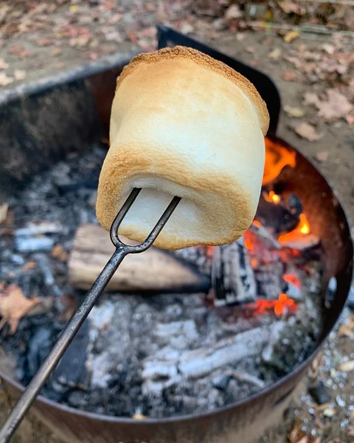 🔥The fire ban has been lifted! As of 4pm, July 11th, the Ministry of Natural Resources and Forestry has lifted the Restricted Fire Zone that covered Sauble Falls!🔥