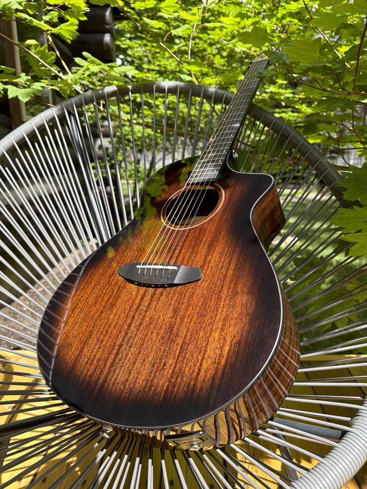 BreedloveGuitar tweet picture