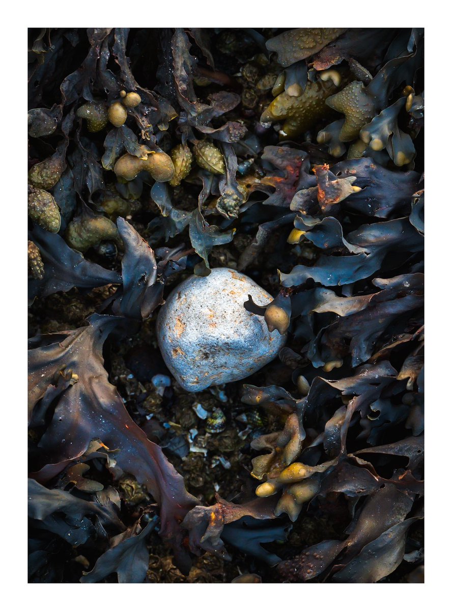 Jack Krohn tweet media