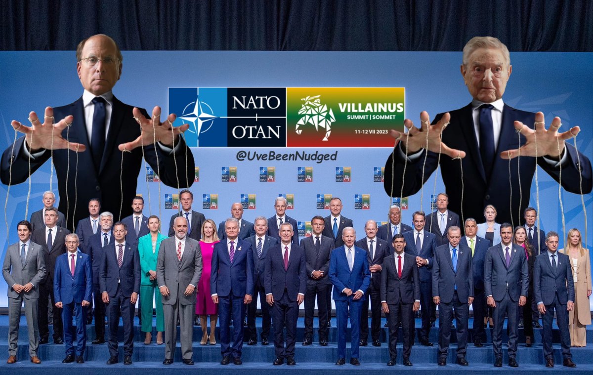 #NATOVilniusSummit 
x.com/uvebeennudged_…