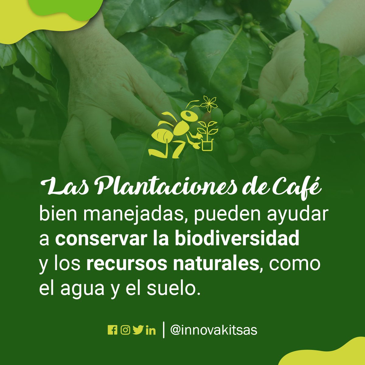 Innovakit tweet media