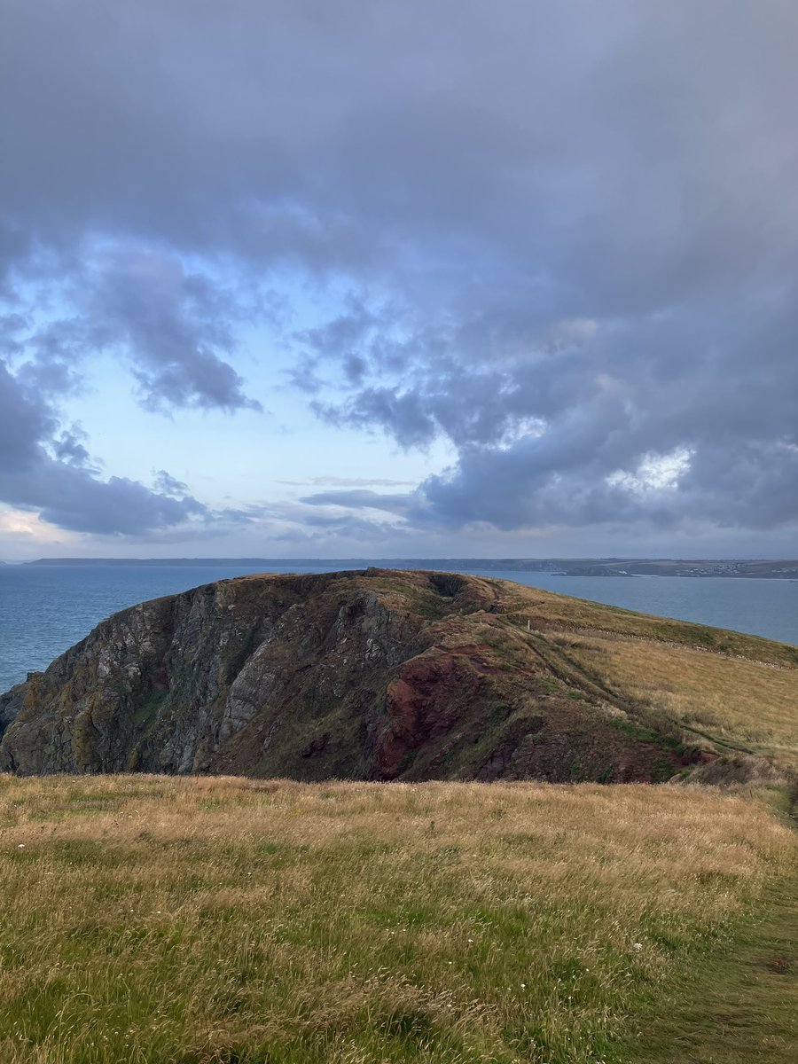 A family of three falcons just flew past on early morning walk across Bolt Tail. Stunning. <a href="/pangeaimpact/">pangea.earth</a>