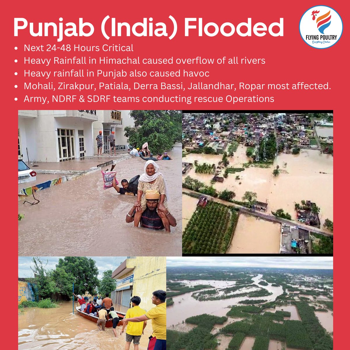 FlyingPoultry's tweet photo. Let's Pray for PUNJAB (INDIA)
#Australia #sydney #melbourne #punjab #2Aussies https://t.co/rYeQ9sT5IZ