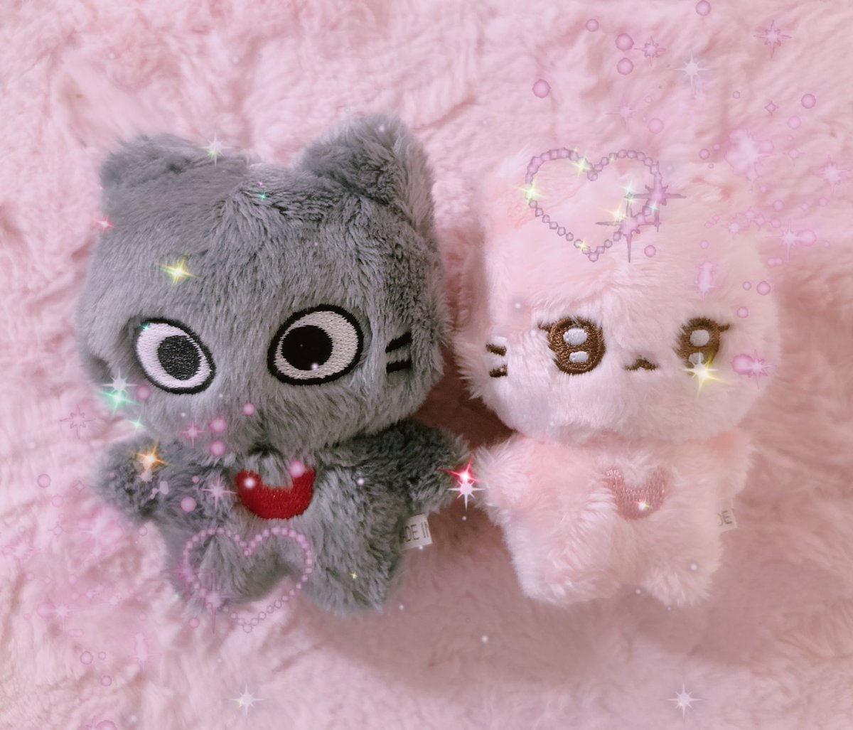 kittycat🖤 tweet media