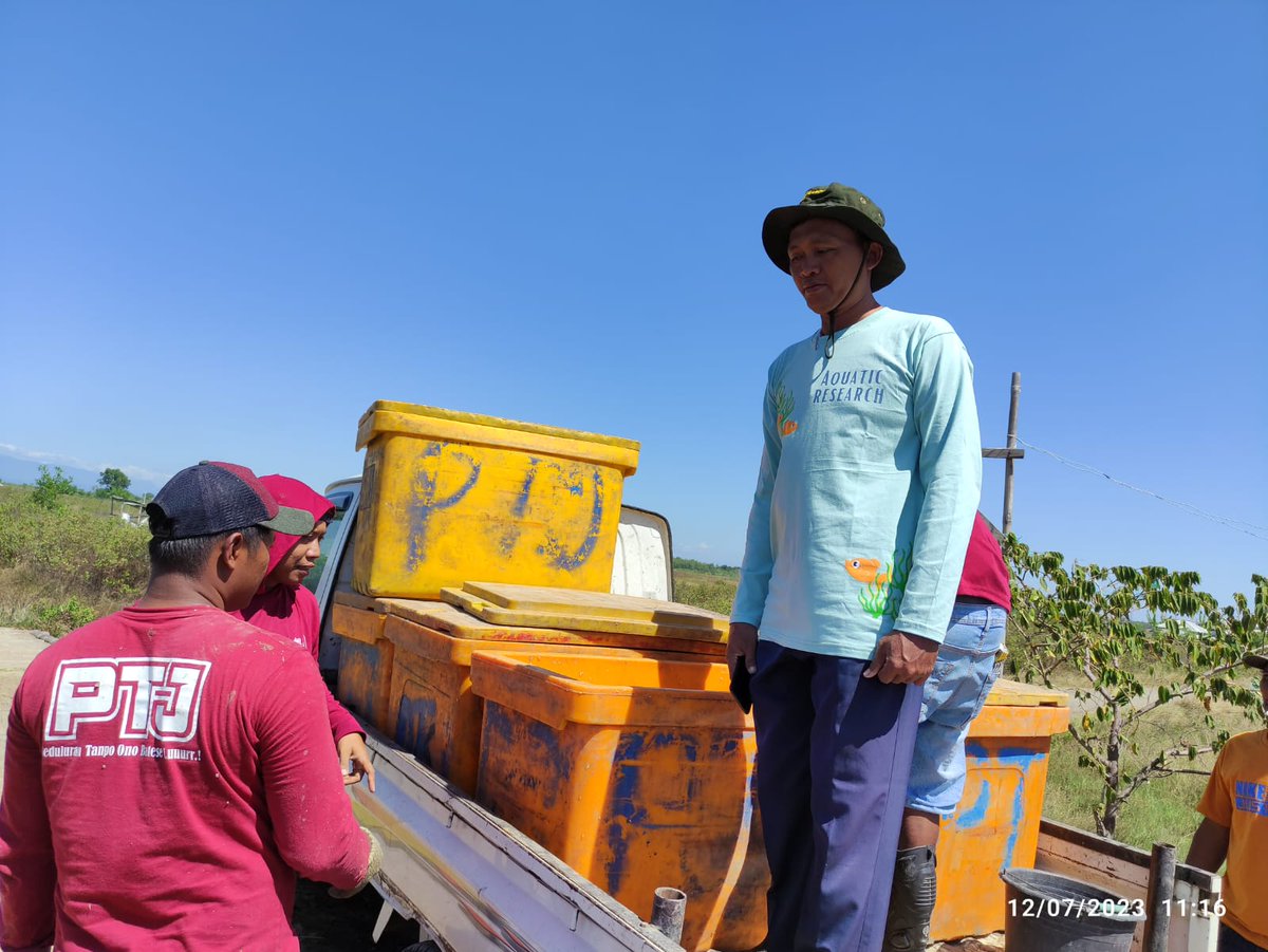 abduljamil0380's tweet photo. Rabu, (13/07/23), Abdul Jamil, S.Pi, MM,Luhkan Brebes, Mlprkan Panen Merah salin Di POKDAKAN TIGA PUTRI 2000 Kg. Dengan harga 18500/Kg Ds.Prapag Kidul Kec Losari
#GiatLuhkanSatminkalTegal #Brebes #Produksi 
@PKBLU_bp3tegal @brsdm_kp @puslatluhkp https://t.co/PTt2HV0LDm
