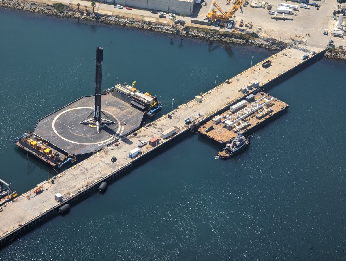 🐱 tedder 🐈 tweet media