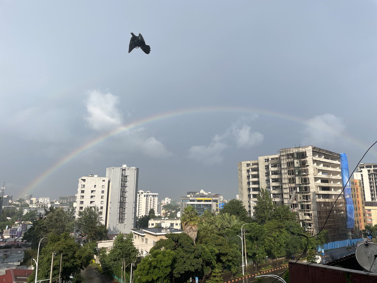 Addis Today