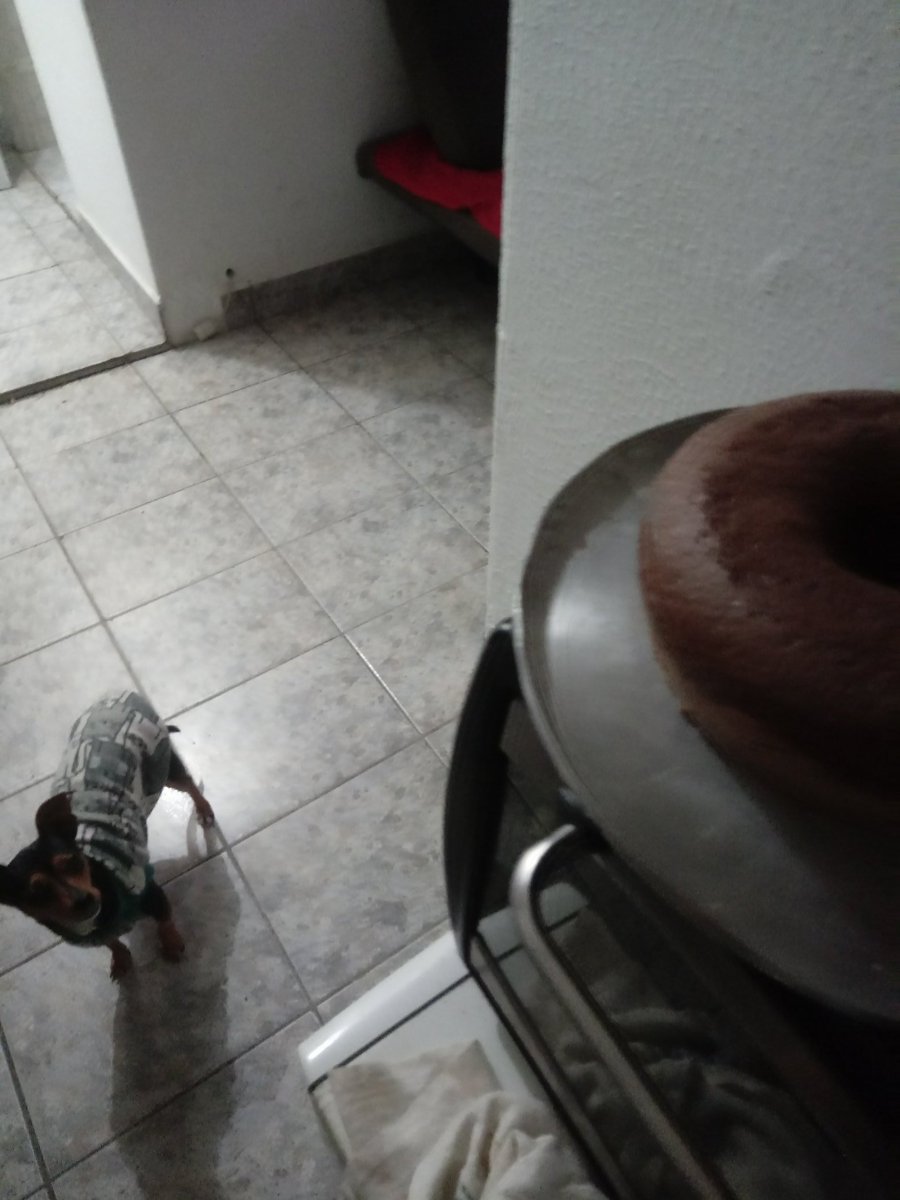 💫 Beco Do Pensador™ Viνíэη ← 🌸 tweet media