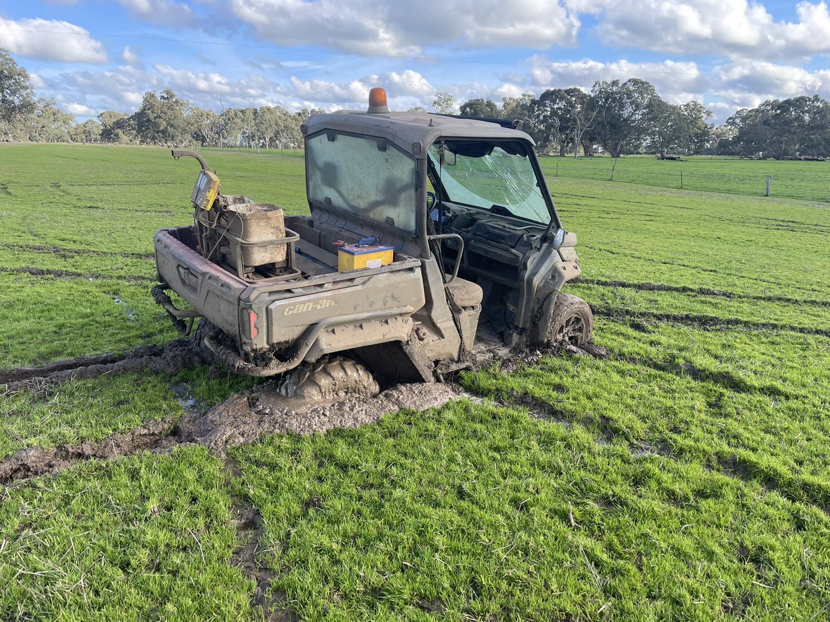 Anthony Close tweet media