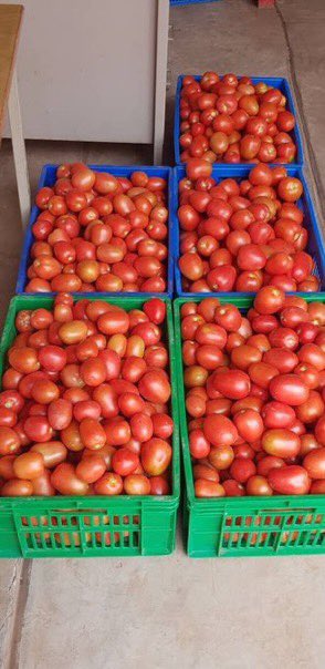 Was wandering trying to think of what I should be doing if I didn’t choose these sector. #environment &amp; #agriculture conservation. How about you?