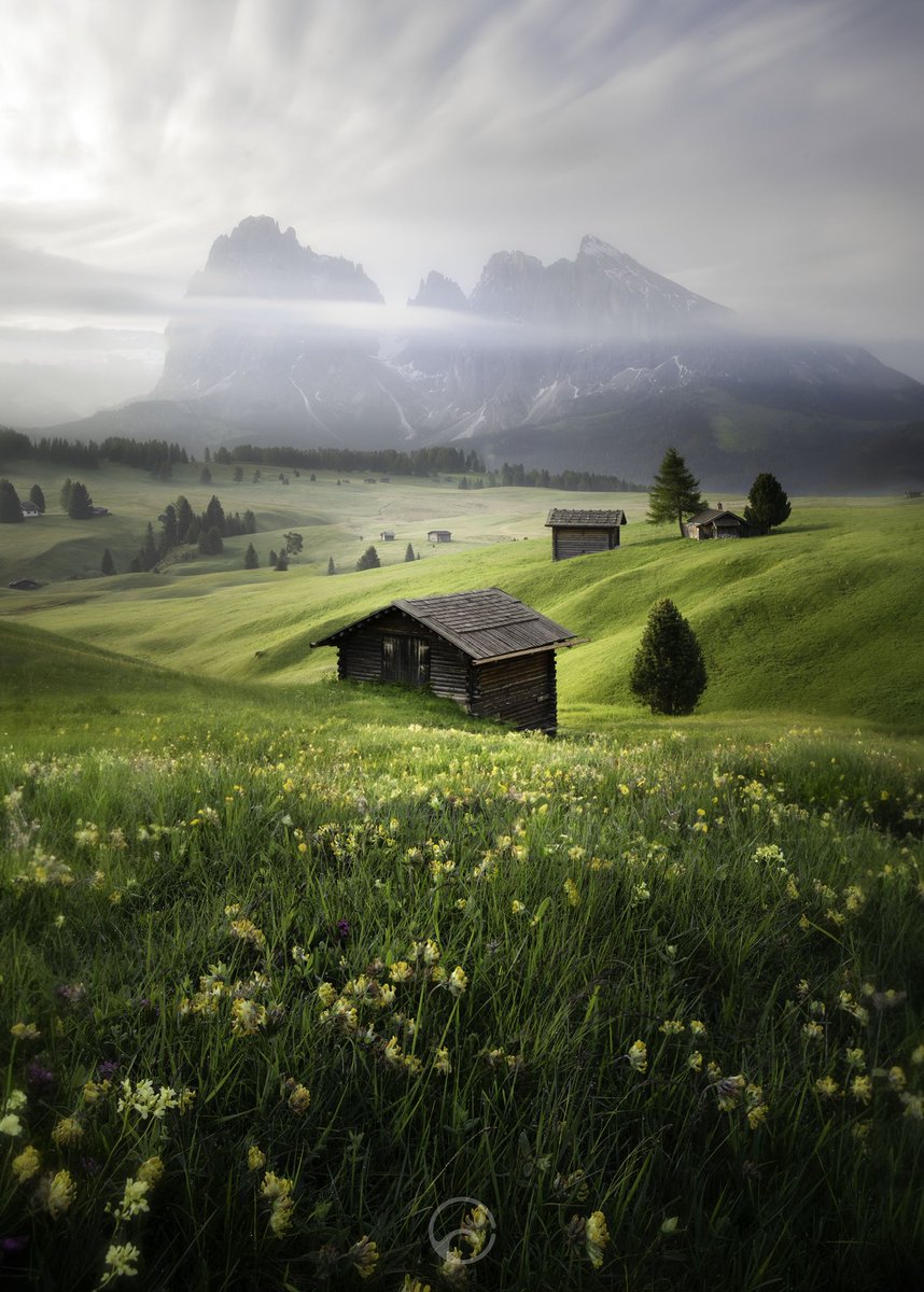 Alpe di Siusi is the highest alpine meadows in Europe and they were a highlight of our time in the Dolomites.
I hired an E Bike so I could get to locations for sunrise…4.45am is ridiculous 🤣
The misty conditions this morning were spectacular and the wildflowers were stunning 🤩