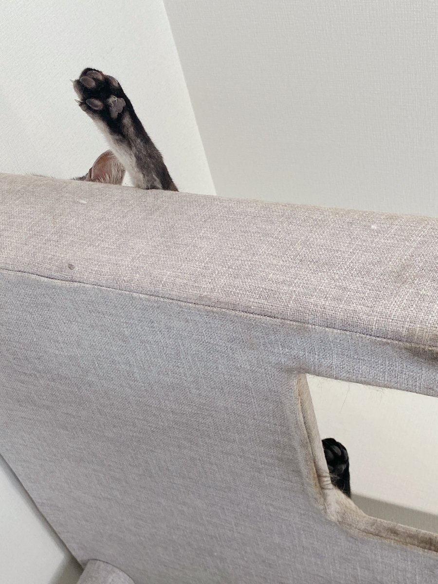 ぎょーぎの悪い足 https://t.co/0QBx7tYaIZ… https://t.co/HiDPE9UrSI