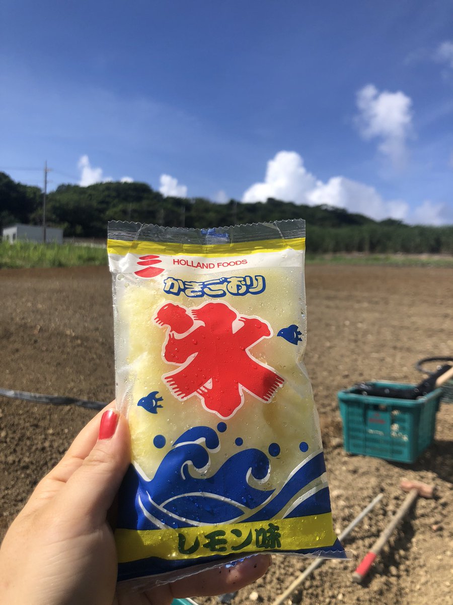 satofarm2019's tweet photo. 管理機待ってたらカキ氷来たー🍧✨
最高ーーー😂✨ https://t.co/DrJu6P8wDe