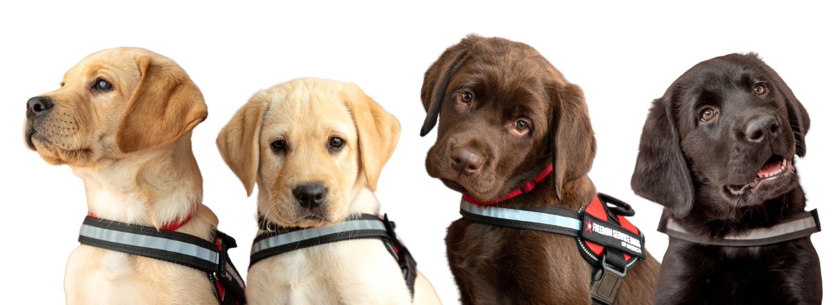 petpost.ca/blog-posts/tra…