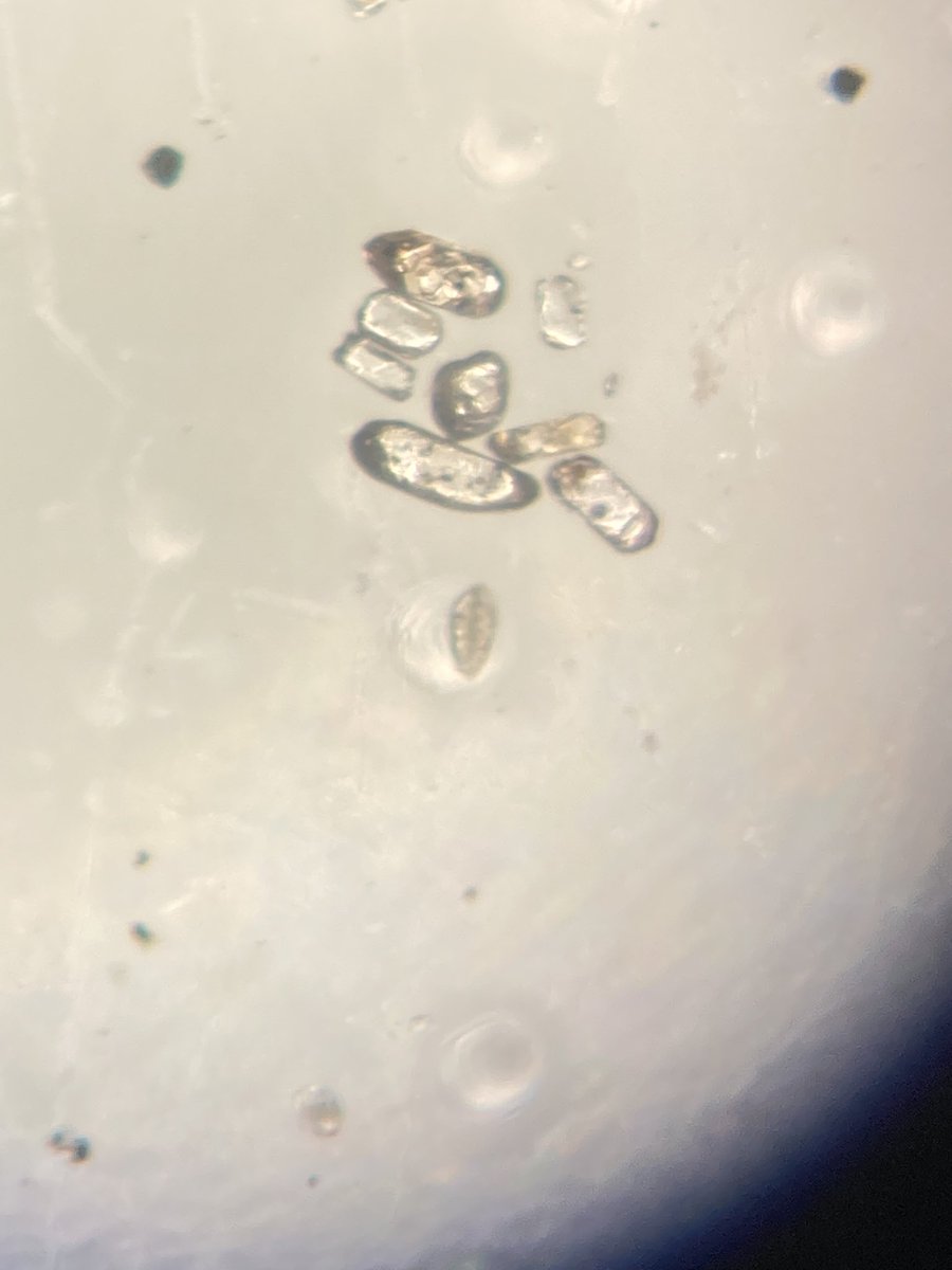 Laura Branch tweet media