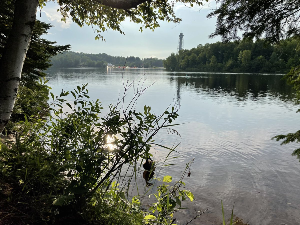 Home Sweet Home #shawinigan