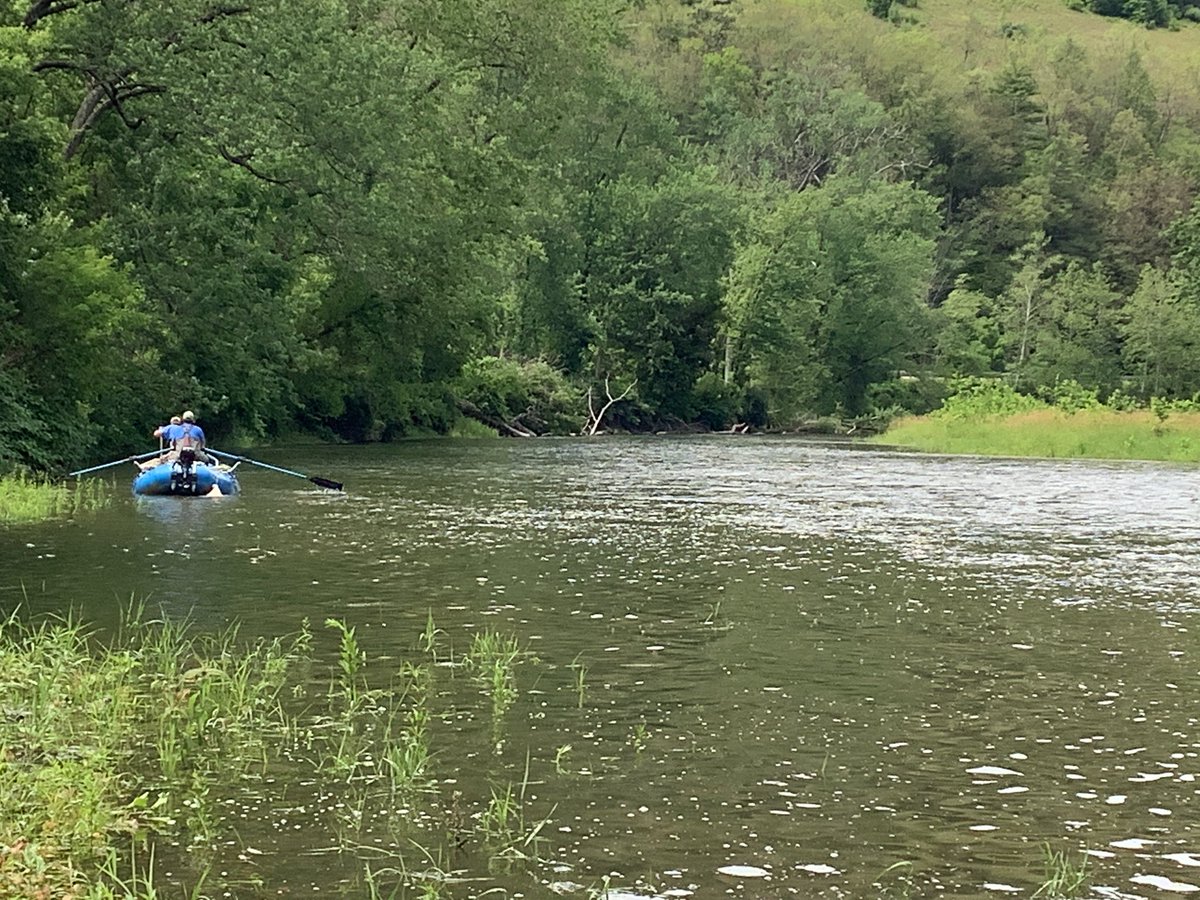 Luanne Steffy tweet media