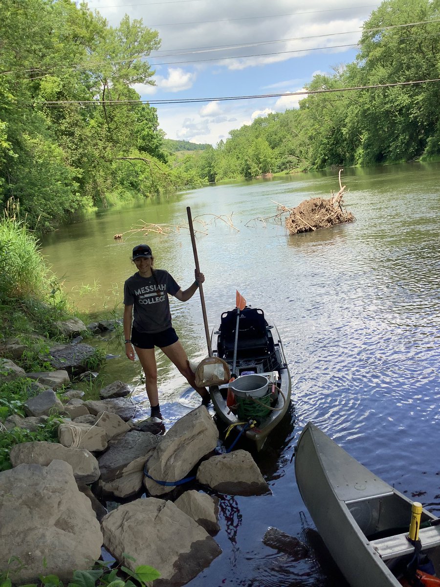 Luanne Steffy tweet media