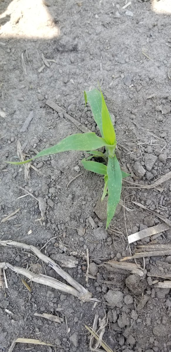 Bryan Cook tweet media