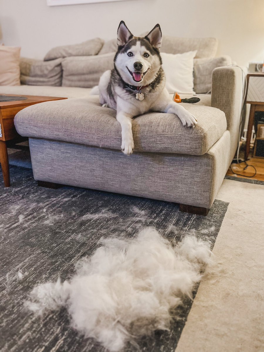 thinkin’ about knitting an abigail sweater.