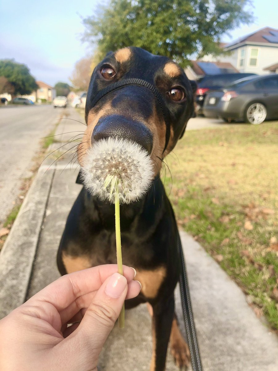 cynthiaedee's tweet photo. #bestathomecontest https://t.co/Bv9XThRqKN