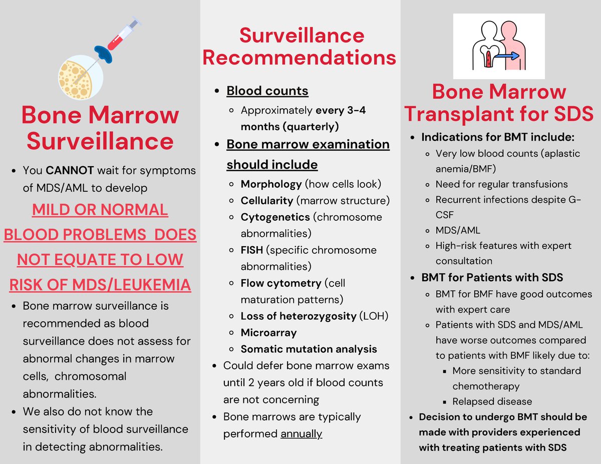 SDSregistry's tweet photo. 📣👏Excited to share handouts from #SDSR presentations at @GoCampSunshine. Thank you to Dr. Jane Koo for putting these summaries together!

First up: #hematologic considerations. https://t.co/FIf1hu3mNk