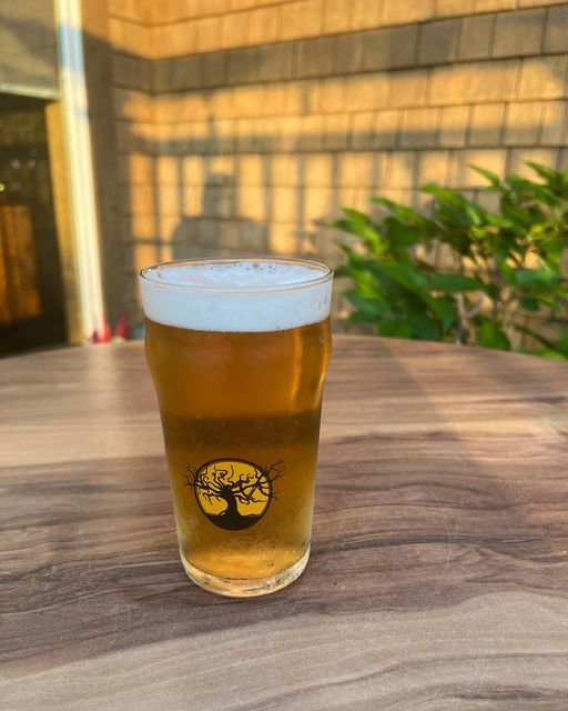 ObxTrio's tweet photo. We’ve got @mikkellerbeer Paradise Lost Non-Alcoholic Wheat Beer on tap. Get it before it’s gone! $5/16oz. . . . . #beer #nonalcoholic #nonalcoholicbeer #beerontap #craftbeer #obxrestaurant #obxmarket #outerbanks #kittyhawknc

https://t.co/j5mEYfqYIN https://t.co/prhbEFPDKj