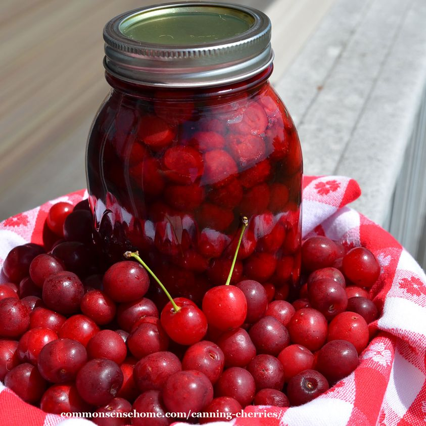 CommonSenseIdea's tweet image. Canning instructions for cherries, either sweet or tart, with a water bath canner or steam canner. Tomorrow, we make cherry jam. 
commonsensehome.com/canning-cherri…