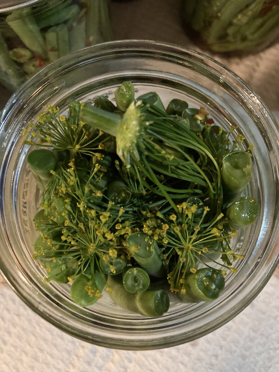 DrHolly's tweet photo. Iโve been delinquent in posting my seasonal canning adventures of late! Recently put up strawberry jam (@TestKitchen recipe) and dilly beans (@BallCanning Blue Book recipe). ๐ What food are you putting in jars right now? #HomePreserving #EatLocal #FoodinJars https://t.co/ohB9MDuuUs