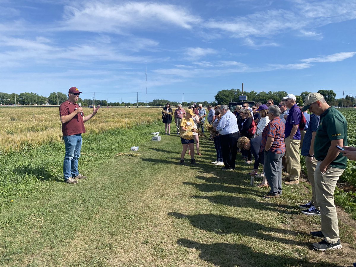 NCCEAExecDir's tweet photo. Barley and wheat research @UMNExt is improving grain quality and increasing yields. Participants in 2023 North Central Region Mini Land-grant conference got a hands-on look at field plots on Saint Paul campus.  @UMNews https://t.co/ewbiO8bA7O