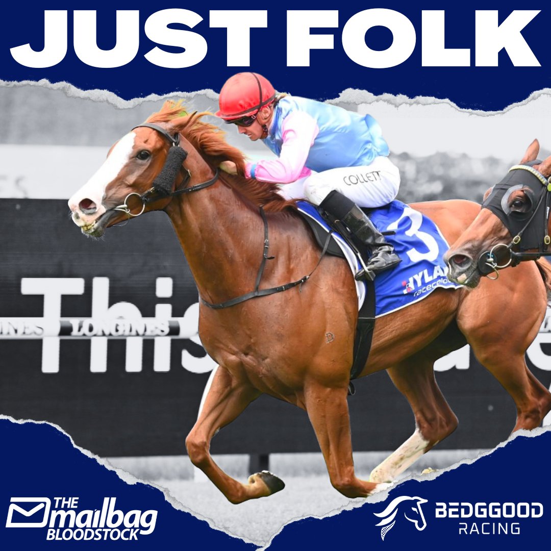 Mailbag Bloodstock on Twitter "In partnership with GavinBedggood we