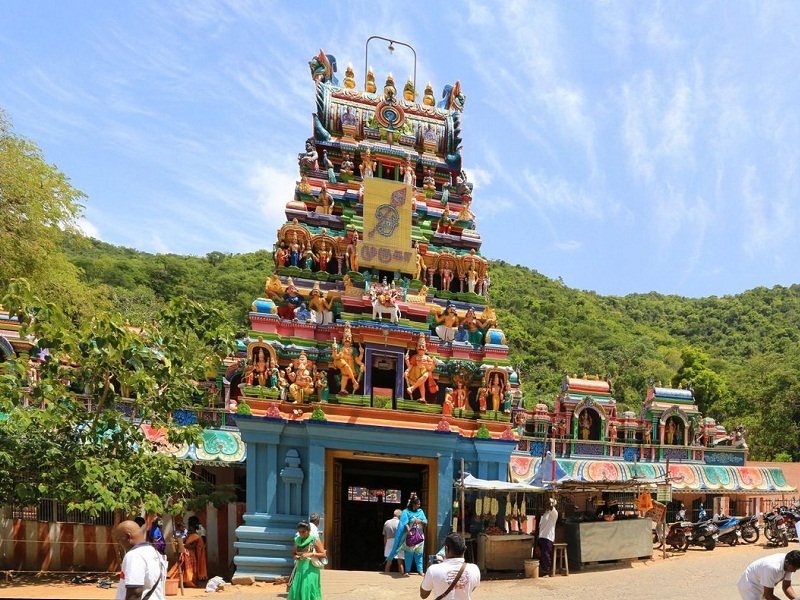 25 things about lord Kartikeya, Hindu should know🦚 | శ్రీ కార్తికేయ జీ గురించి ప్రతి హిందువు తెలుసుకోవలసిన 25 విషయాలు 8 F0zNWeOaQAAzmBT