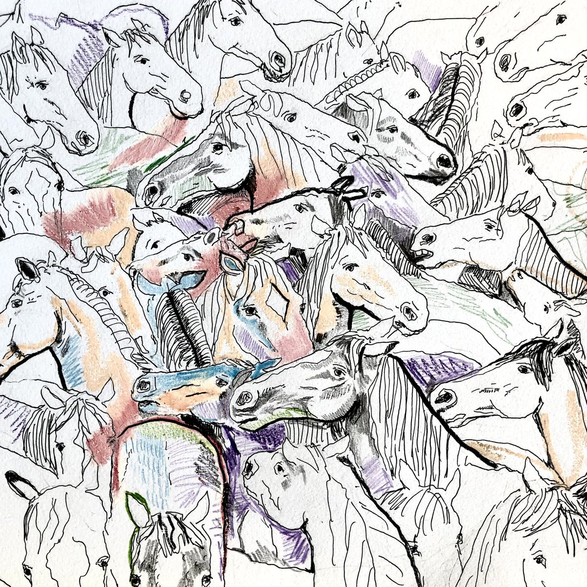 “Caballada” (Serie -Multitud-) Tinta y lápiz de color sobre papel *Edición de veinte impresiones disponibles sobre papel hahnemühle, certificadas, enumeradas y firmadas. #arte #artwork #caballos #ink
