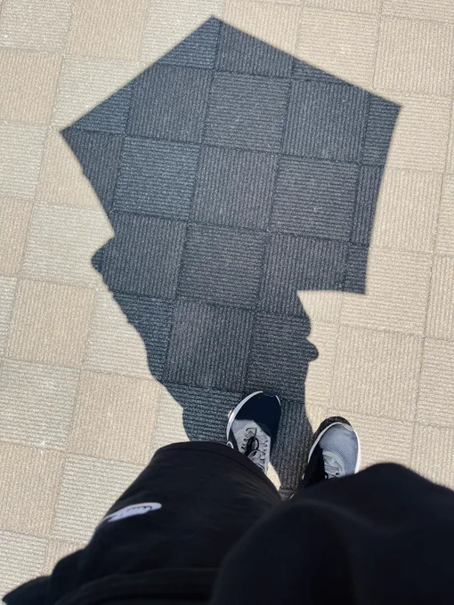 今日から日傘持参。