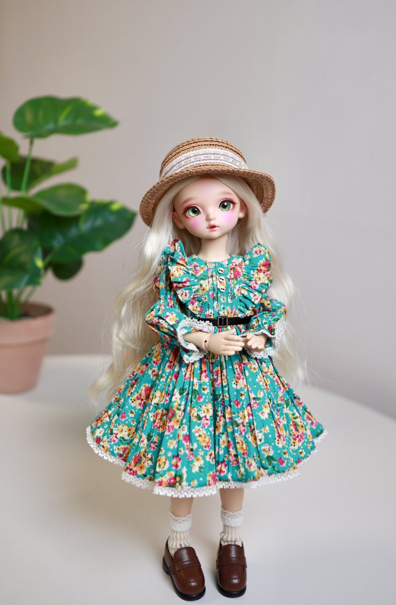 야외 못 나가고
결국 집...🪴