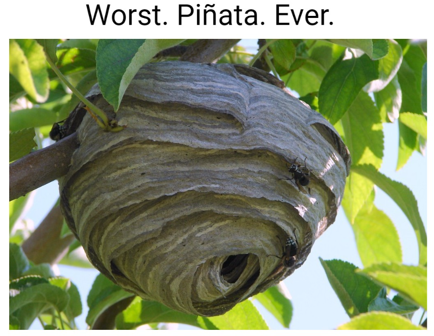 𝗥𝗲𝘀𝘂𝘀𝗠𝗲𝗱 tweet media