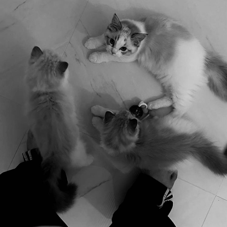 nel (@n9lzik1) on Twitter photo 