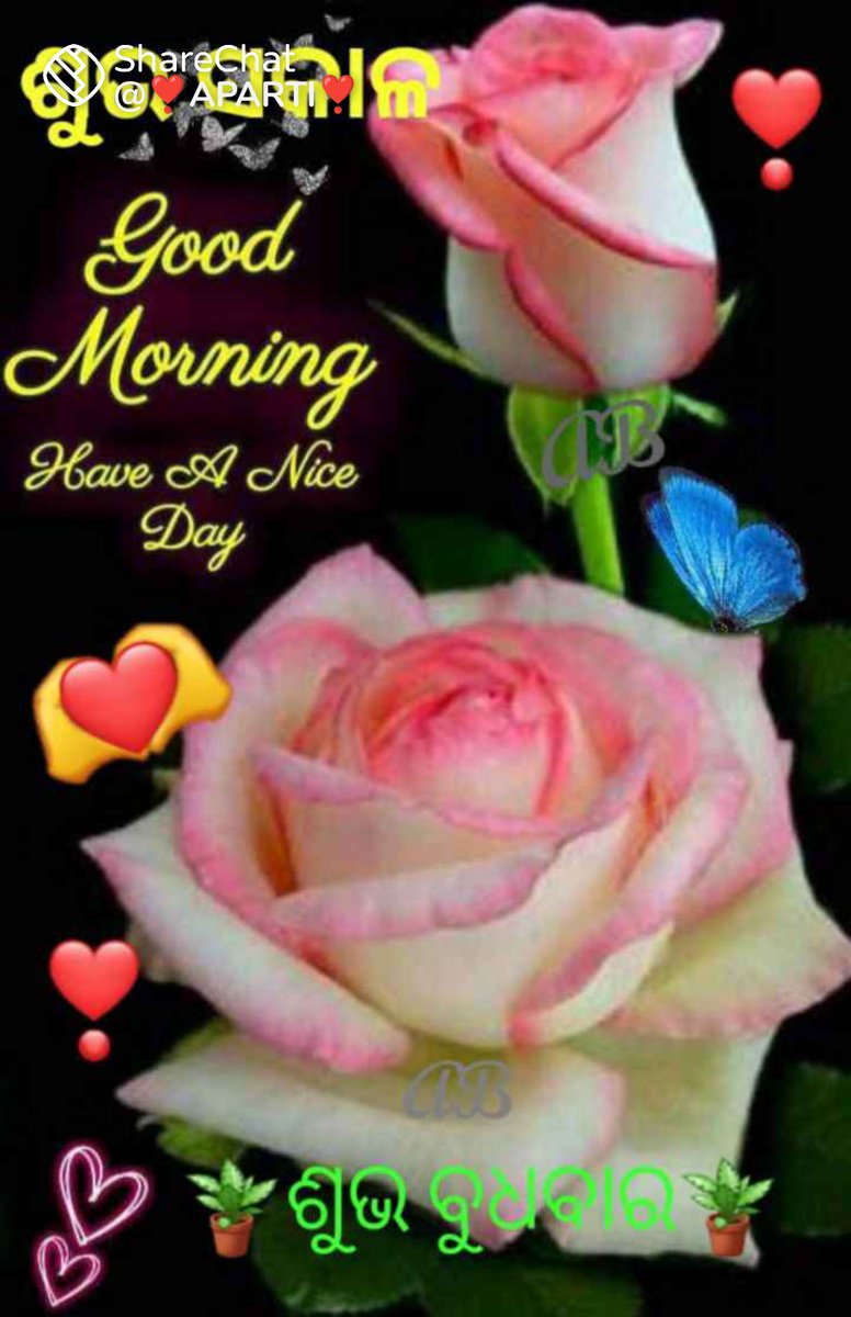 ApartiBehera2's tweet photo. https://t.co/3tDJy3ASA5