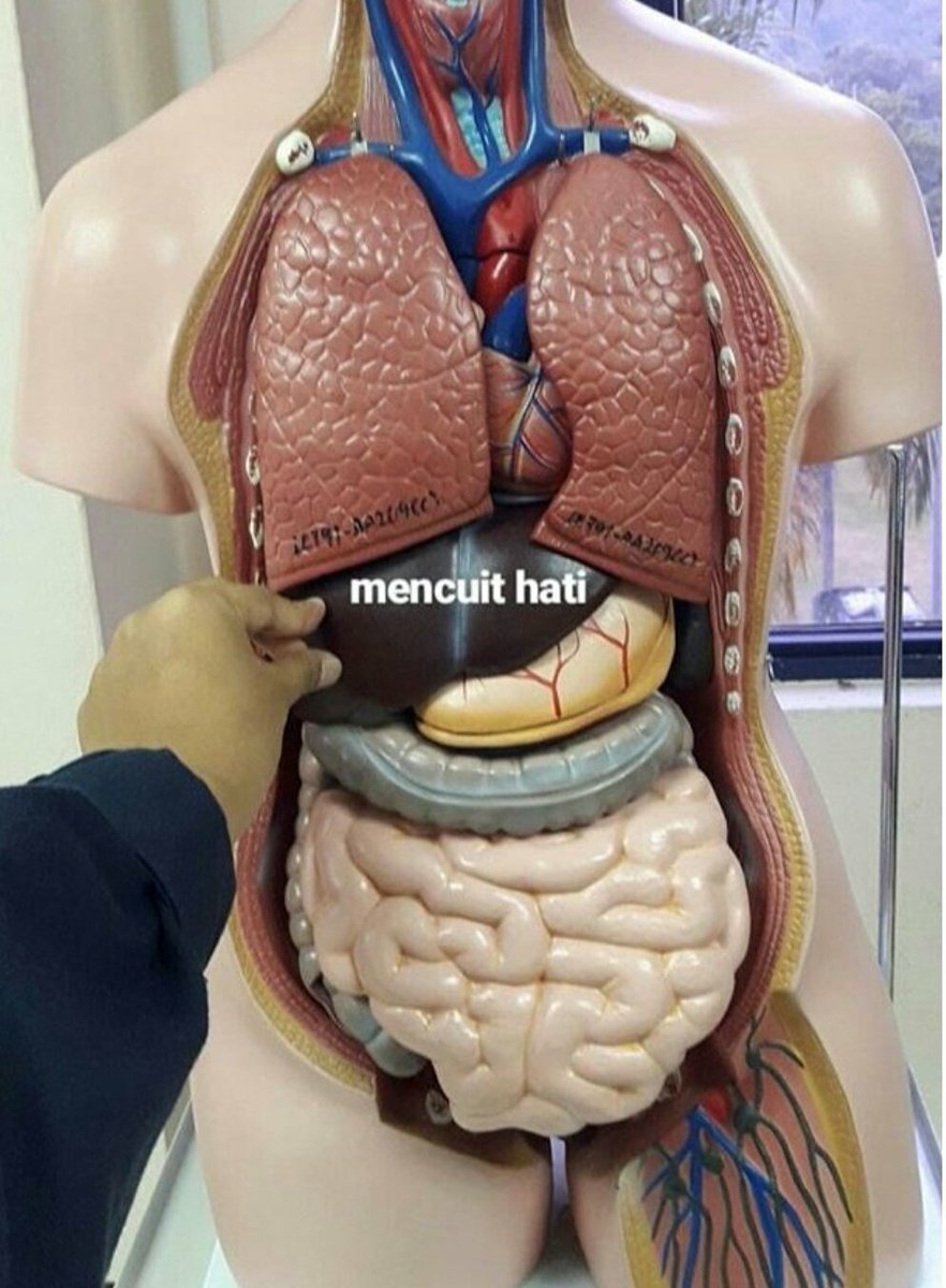 The Reason : Shin Hati !!! : r/starwarsmemes, image size:882x1200